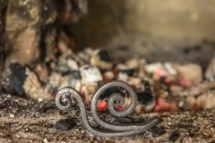 369C5944-6F80-4C52-9DDE-B5A3D250DD47