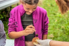 3F0E62B4-C7B9-466E-B7FA-43B81E6E8C66