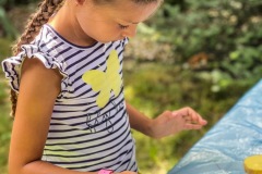 420FE7F5-2106-41FF-A9C2-360A738A23AB