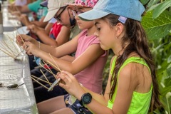 E6B3B517-361F-4C85-8609-B672A5B7D4B0