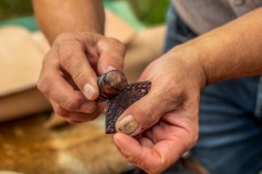 F7C0973D-0CED-4E13-A34A-4E004455C2C8