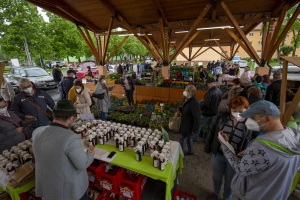Farmársky a remeselný trh 15.5.2021