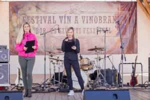 Festival vín a vinobrania - súťaž vo výrobe klobás 6.10.2018