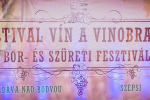 Festival vín a vinobrania 10. oktobra 2015