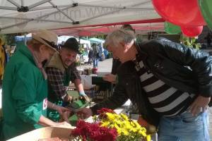 Festival vín a vinobrania+súťaž vo výrobe klobás 8.10.2016