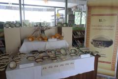 35344605_1744909748895460_973225476011065344_o