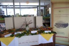 44658285_1926016104118156_6782526548986560512_o