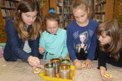 44771231_1926020864117680_3677173294563328000_o