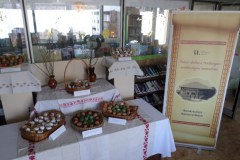 SAMSUNG CAMERA PICTURES