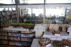 SAMSUNG CAMERA PICTURES