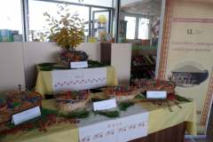 75369193_2549330668453360_9128115649413906432_o