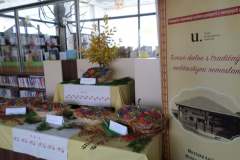 75388472_2549330355120058_5884700439332519936_o