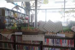 56852923_2161496670570097_5772239645559488512_o