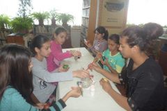 56940364_2161506253902472_6873846740634566656_o