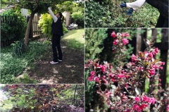 100930231_2875079096144561_366935819354636288_n