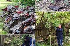 101339330_2875079206144550_6915674860194627584_n