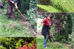 101681743_2879124529073351_8554106327004086272_n