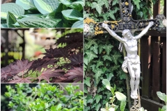 101746943_2879124675740003_6084082119817035776_n