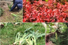 101849823_2879124515740019_8325186378308517888_n