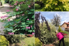 101958649_2875079032811234_4265101248769818624_n