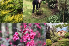 101987776_2879124569073347_6319404958512840704_n