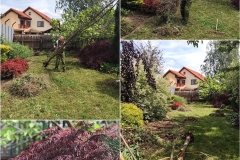 79199678_2875079199477884_4074729254326108160_n