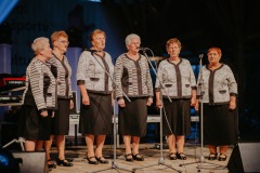 Festival-kultury-a-sportu-2021_688
