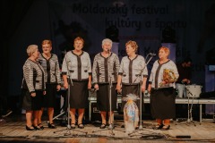 Festival-kultury-a-sportu-2021_695