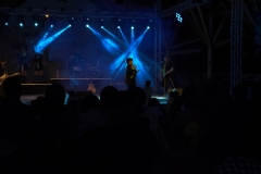 P2244420.MP4.03_33_50_27.Still001