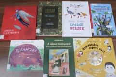 SAMSUNG CAMERA PICTURES