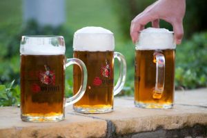 Pivný festival 17. júla 2015