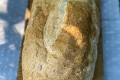 16B7A8F0-2404-40E4-AB67-5668845DA2C2