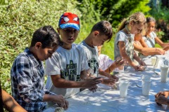 17D05815-A97E-4B3F-BA29-BE8DD9DCACCB