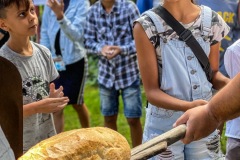 2300100A-9500-4469-98AD-87DF39766CBA