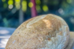 233FC963-19F0-4173-9211-B2B0ED27BEA9