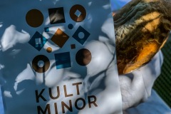 2C694F38-5C72-487E-9937-E55BFCA6045A