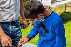 52A0B215-6C88-4568-B7EA-14A89D5DB2A2