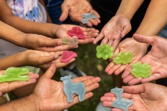 6690B4C3-5A43-449D-8471-EF6D0555584B