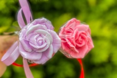 A7C7C25B-F54B-4D28-95D0-F83086B76703