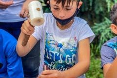 BF340516-6207-487D-8936-B927D17FD83A