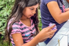 EB53295C-4AF5-4372-9F73-9B4254ED4D87