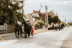 ochutnávka-vín-2019-26