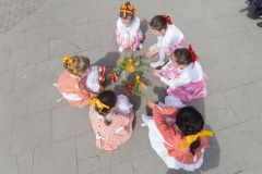 img_1851