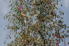 stavanie_maja_2019_49