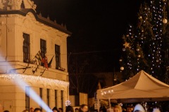 Vianočné-trhy-2019-314