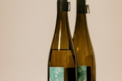 ochutnávka-vín-2019-108