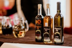 ochutnávka-vín-2019-77