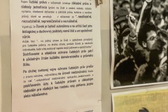 74B07620-C669-47DA-908B-BF7DB3014E15