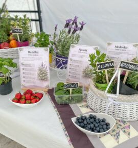 SILA BYLINIEK V NÁS- aktivita v rámci mesiaca Zeme 16.4.2026