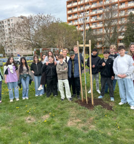 SADENIE STROMČEKOV A SKRÁŠĽOVANIE OKOLIA SO ŽIAKMI ZŠ SEVERNÁ 15.4.2026